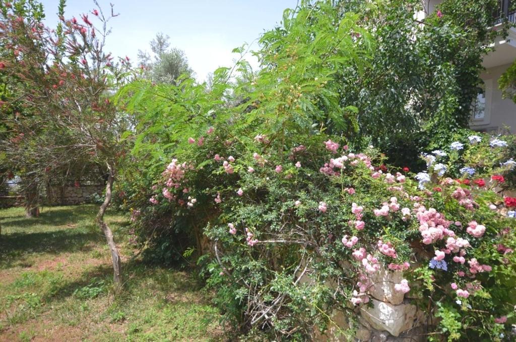Villa Leton Kleo - Kalkan Center ภายนอก รูปภาพ